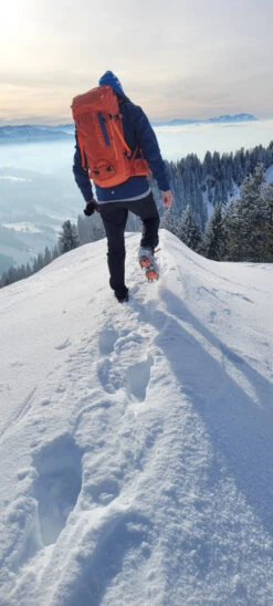 Ortovox Peak 35 - Tourenrucksack -Freien Camping Geschäft ortovox peak 35 tourenrucksack 479eeaaef0ad34f8d4b20e458b7c94a1 1